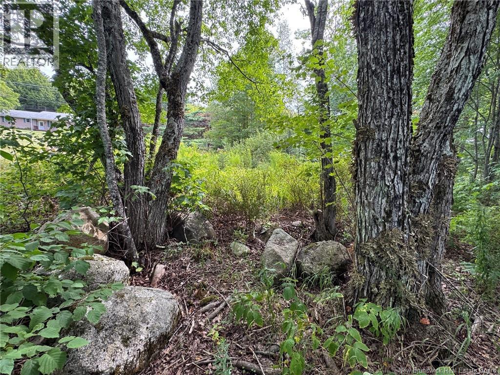 Vacant Lot 750 Route, Valley Road, New Brunswick  E3L 4V1 - Photo 28 - NB146545