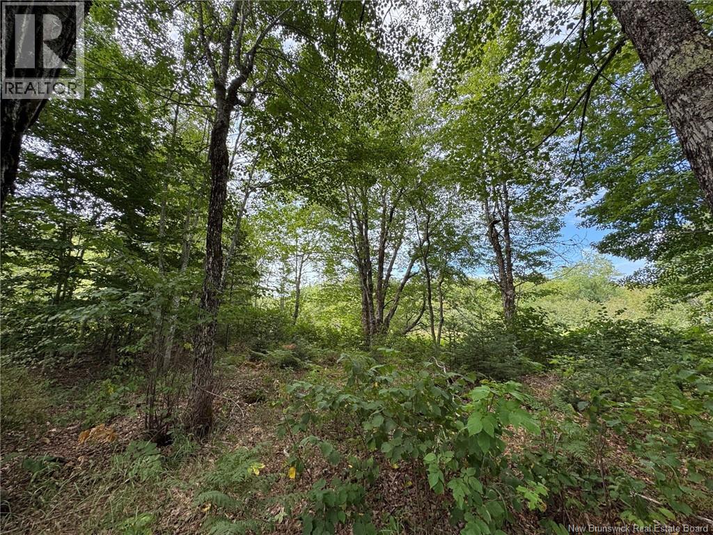 Vacant Lot 750 Route, Valley Road, New Brunswick  E3L 4V1 - Photo 29 - NB146545