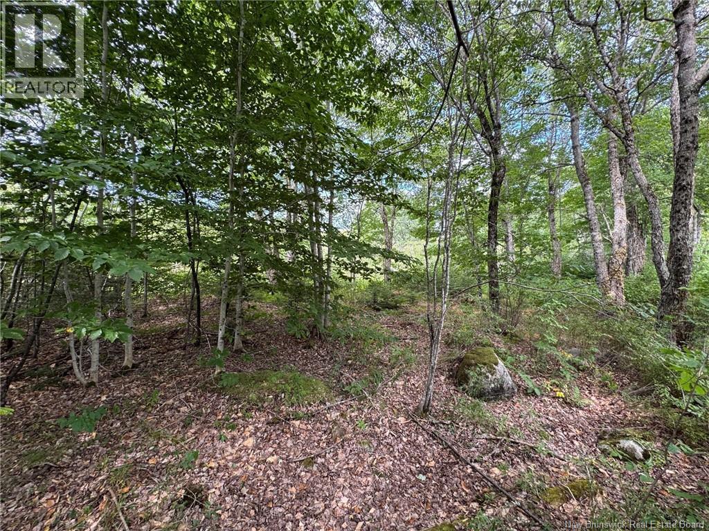 Vacant Lot 750 Route, Valley Road, New Brunswick  E3L 4V1 - Photo 31 - NB146545