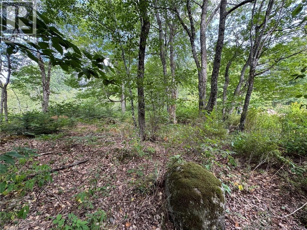 Vacant Lot 750 Route, Valley Road, New Brunswick  E3L 4V1 - Photo 30 - NB146545