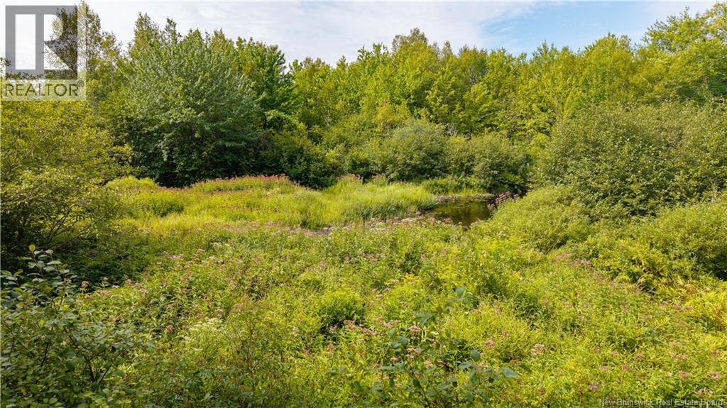 Vacant Lot 750 Route, Valley Road, New Brunswick  E3L 4V1 - Photo 12 - NB146545