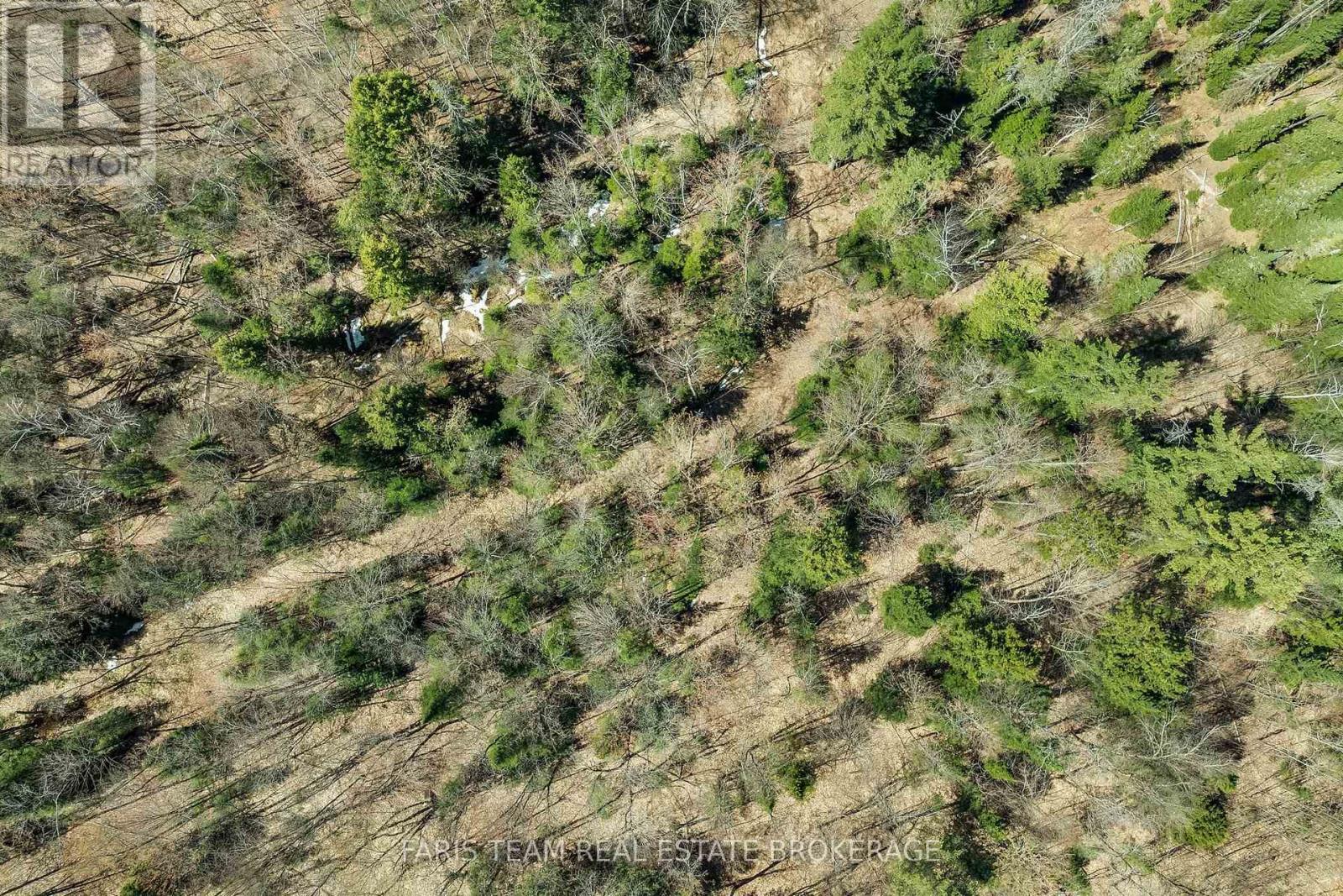 2180-2186 Hwy 141, Muskoka Lakes, Ontario  P0B 1L0 - Photo 19 - X13707566