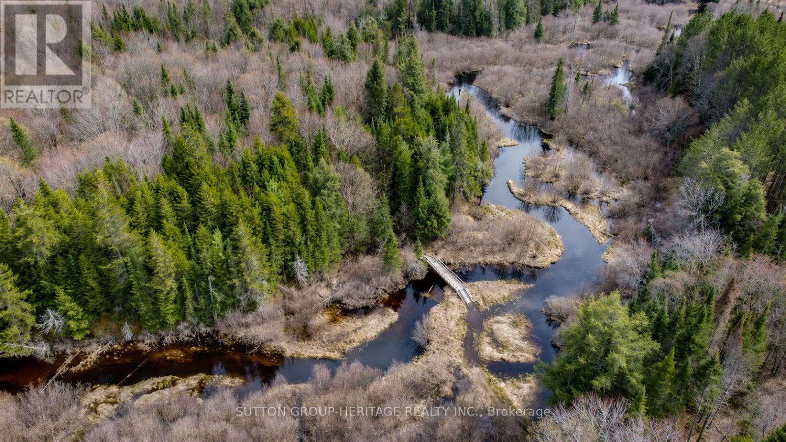 1241 One Mile Drive, Minden Hills, Ontario  K0M 2K0 - Photo 17 - X13707618