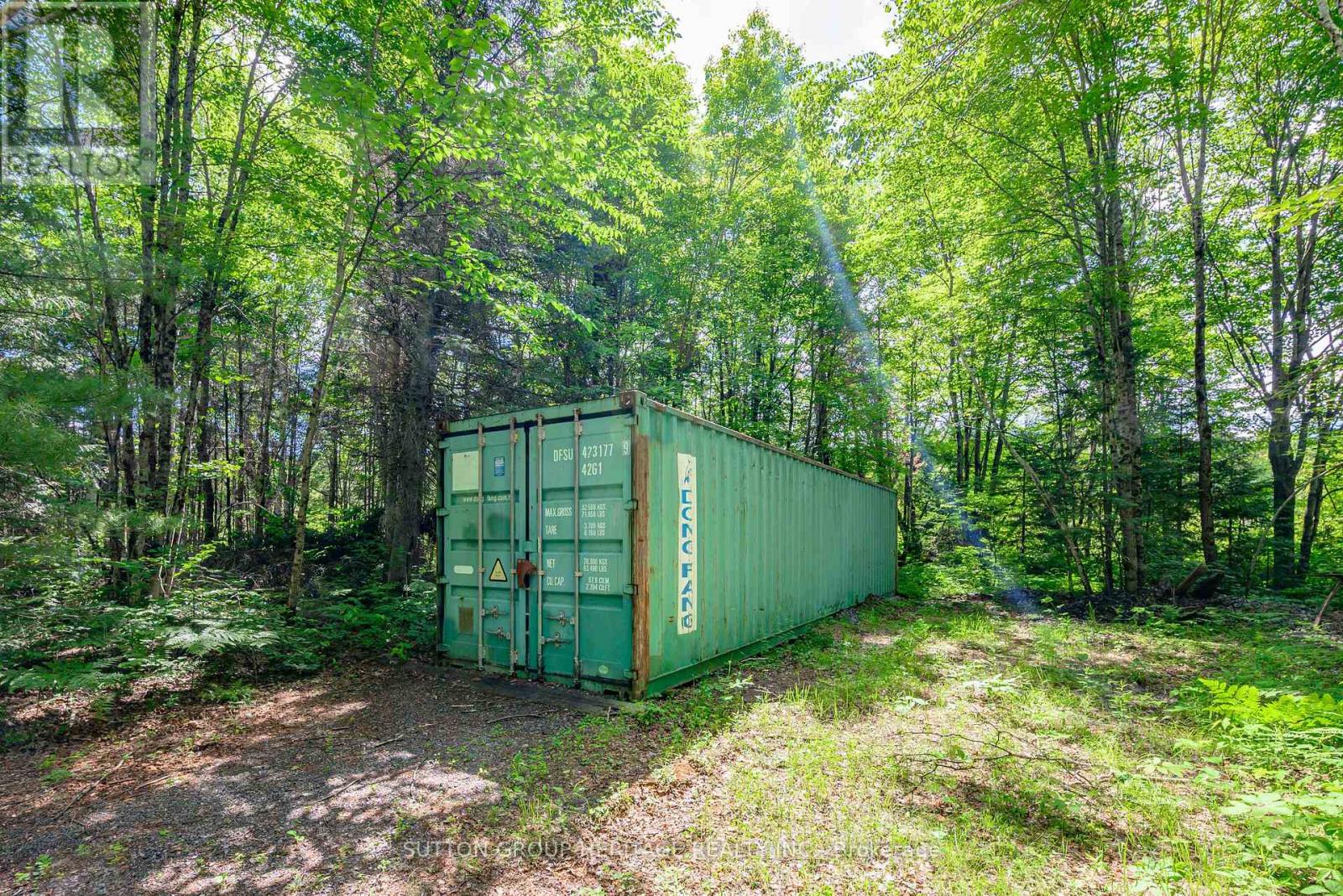 1241 One Mile Drive, Minden Hills, Ontario  K0M 2K0 - Photo 35 - X13707618