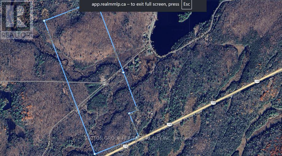 1241 One Mile Drive, Minden Hills, Ontario  K0M 2K0 - Photo 4 - X13707618