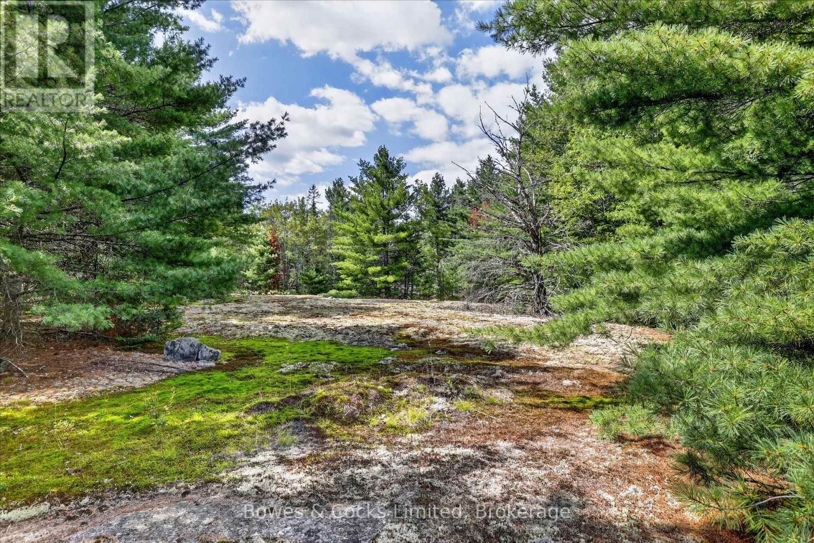 1244 Vick Road, Minden Hills, Ontario  K0M 2K0 - Photo 40 - X13707754