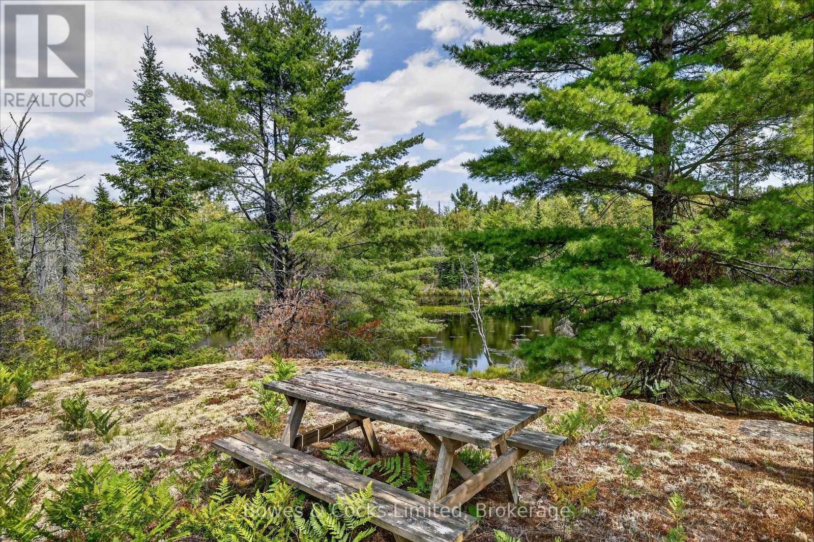 1244 Vick Road, Minden Hills, Ontario  K0M 2K0 - Photo 41 - X13707754