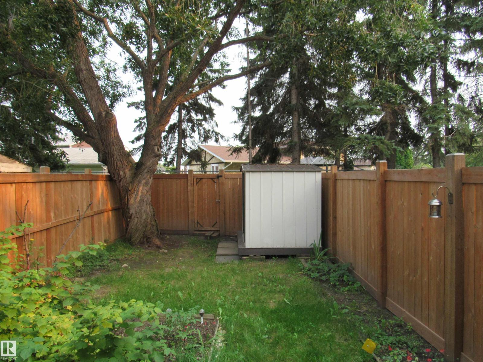 picture 37