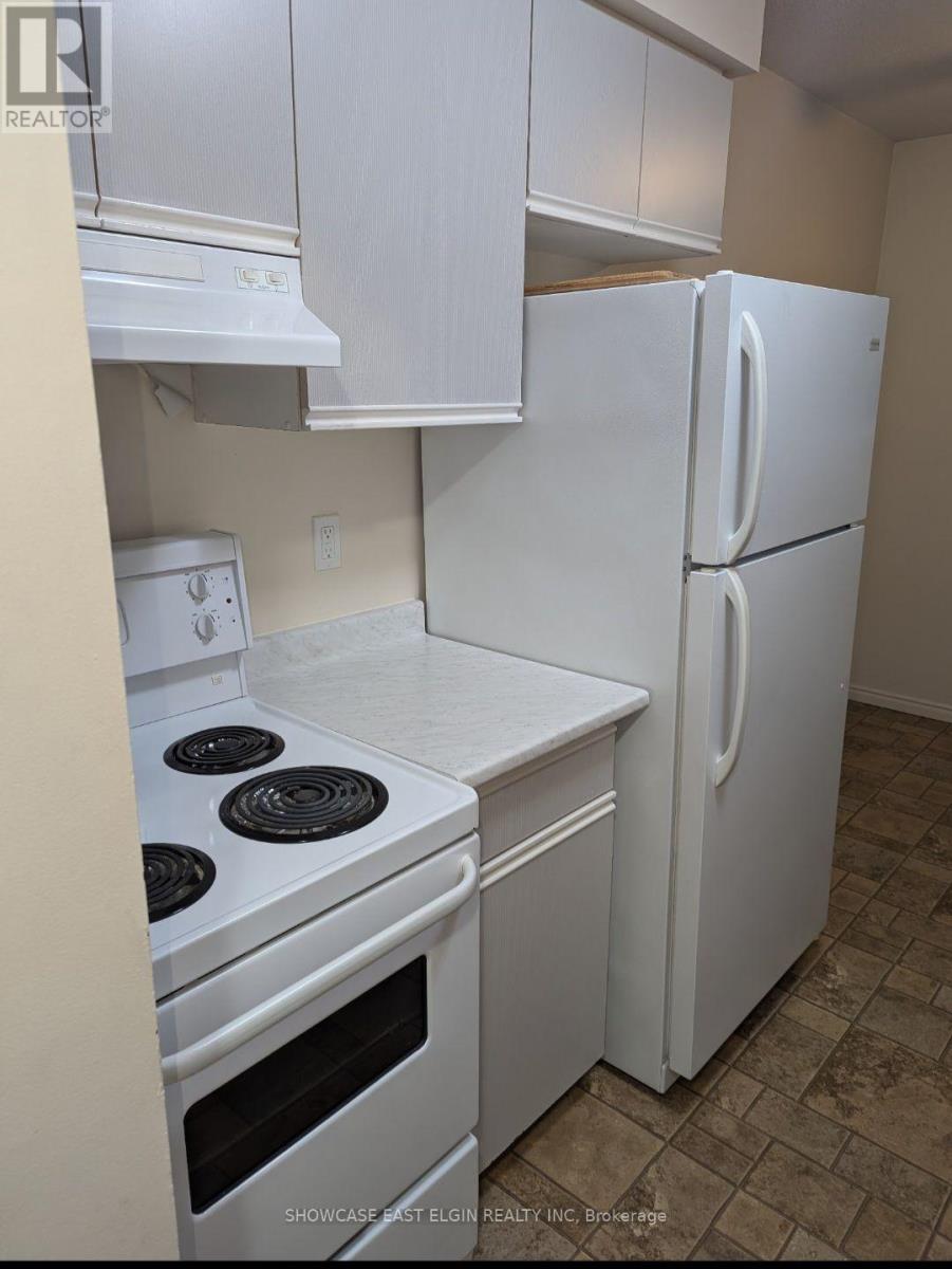 119 Myrtle Street, Aylmer, Ontario  N5H 3E9 - Photo 24 - X13708112