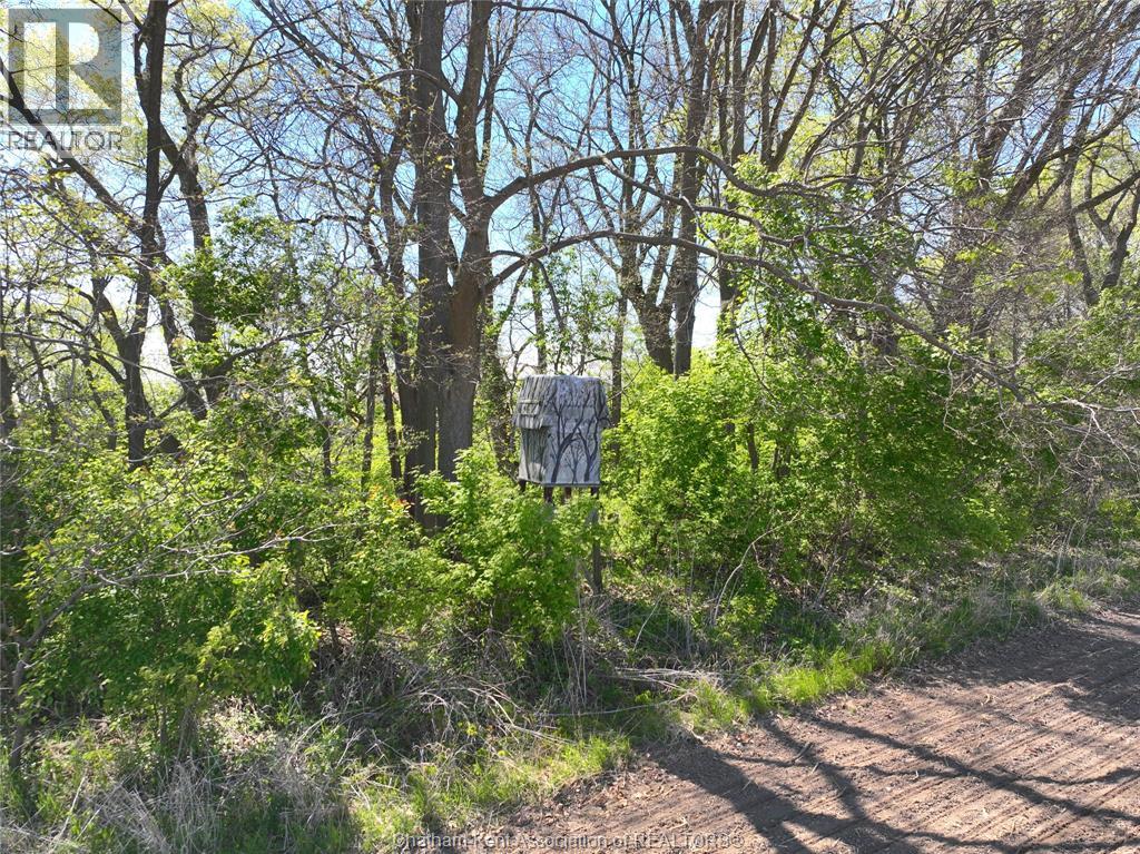 0 Bedford Road, Chatham, Ontario  N7M 5J4 - Photo 25 - 25027521