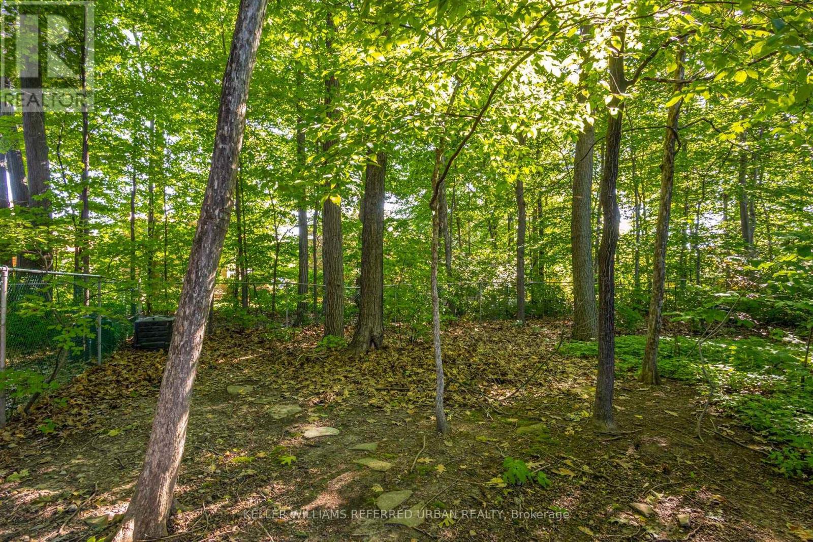 4235 Perivale Road, Mississauga, Ontario  L5C 4B1 - Photo 45 - W13708082