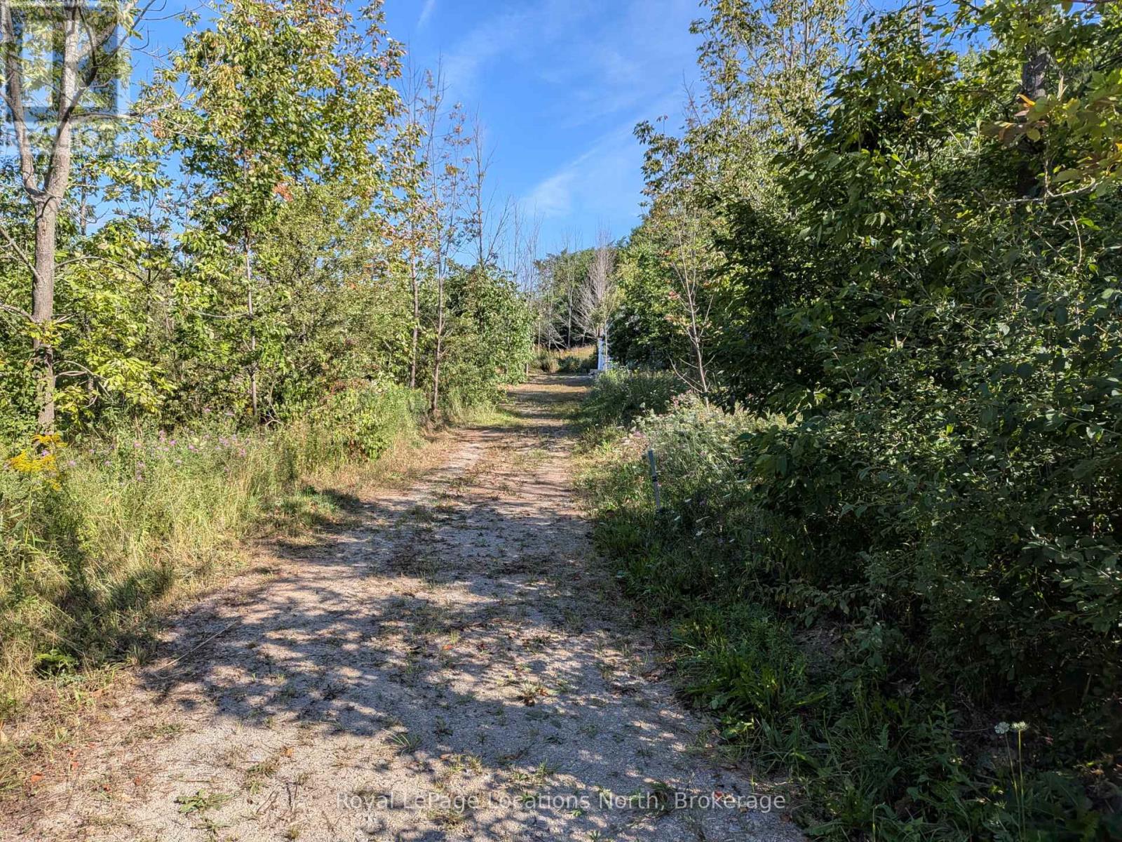 86177 7 Side Road, Meaford, Ontario  N4L 1W7 - Photo 14 - X13708150