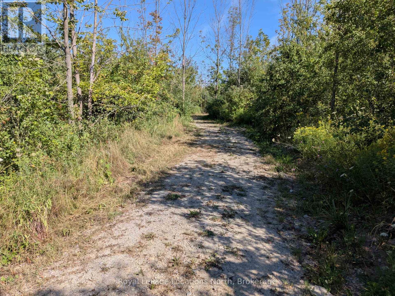 86177 7 Side Road, Meaford, Ontario  N4L 1W7 - Photo 17 - X13708150