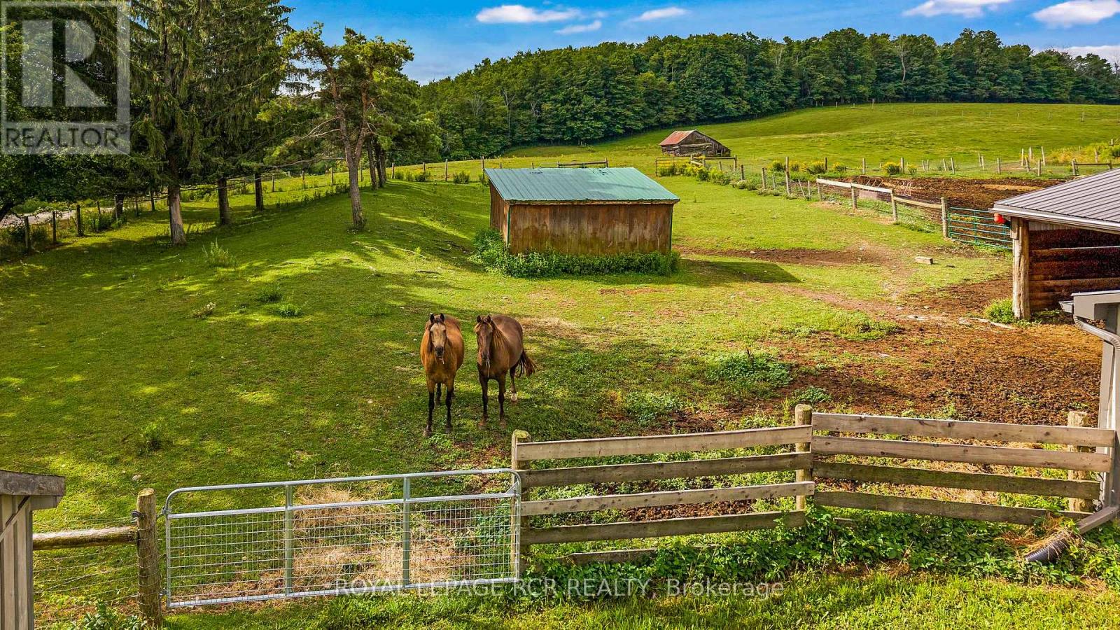 716300 1st Line E Acres, Mulmur, Ontario  L9V 0E9 - Photo 10 - X13708230