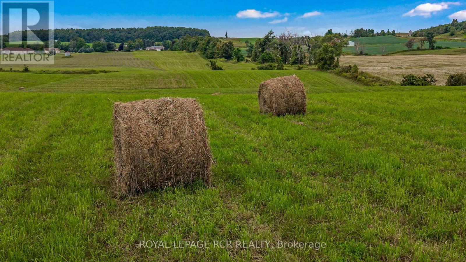 716300 1st Line E Acres, Mulmur, Ontario  L9V 0E9 - Photo 22 - X13708230