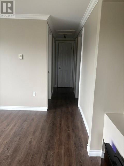 9 Hansen Highway, Stephenville, Newfoundland & Labrador  A2N 1V7 - Photo 12 - 1301831