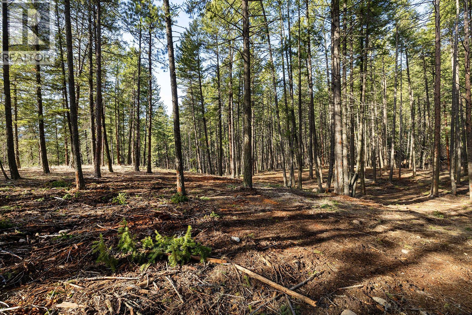 Lot A & B Trepanier Road, Peachland, British Columbia  V0H 1X3 - Photo 28 - 10398556