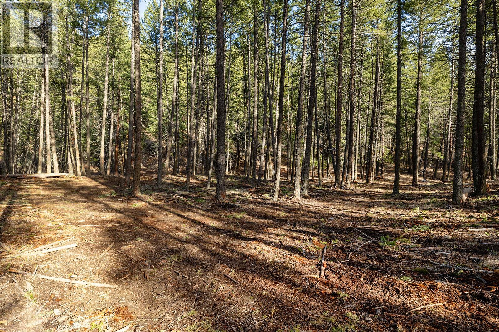Lot A & B Trepanier Road, Peachland, British Columbia  V0H 1X3 - Photo 25 - 10398556