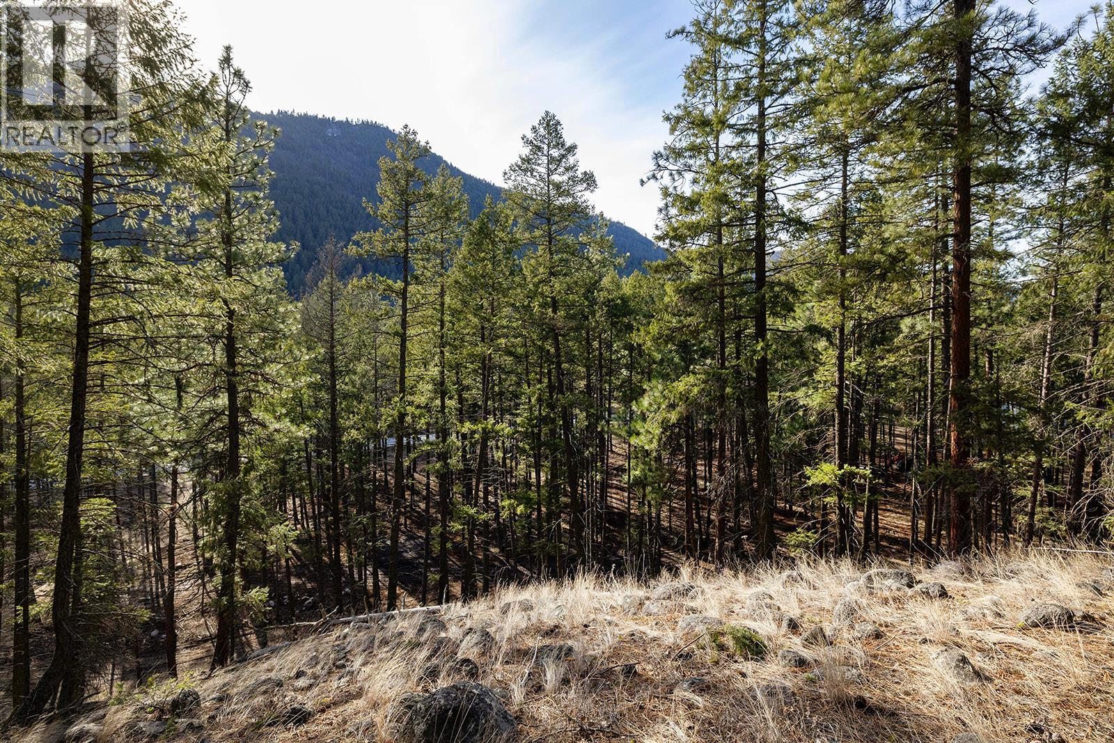 Lot A & B Trepanier Road, Peachland, British Columbia  V0H 1X3 - Photo 26 - 10398556