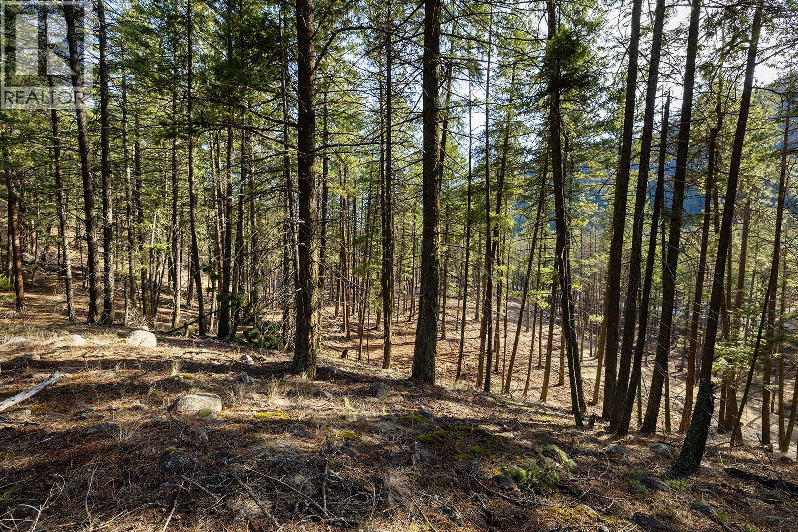 Lot A & B Trepanier Road, Peachland, British Columbia  V0H 1X3 - Photo 29 - 10398556
