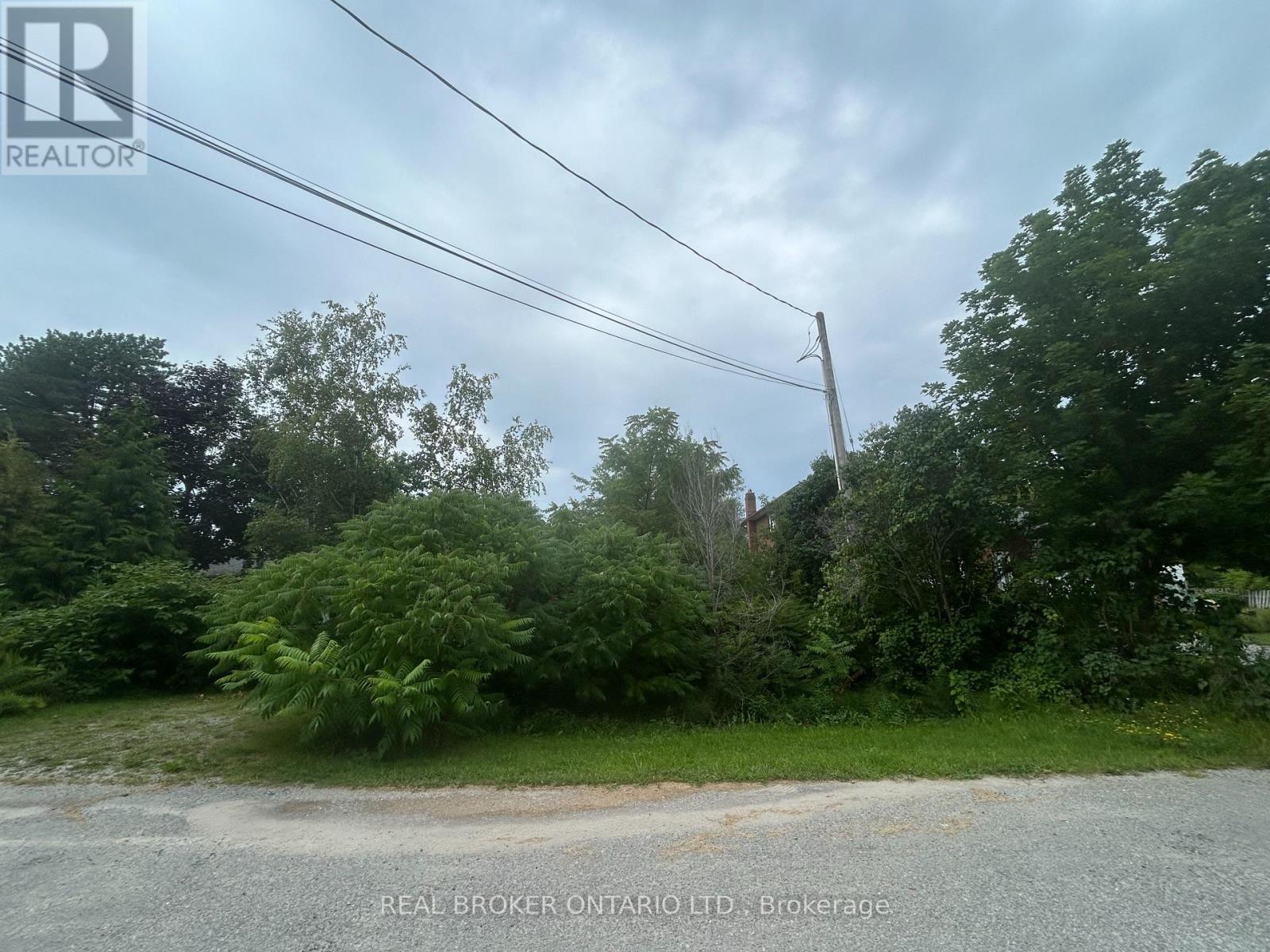 18 Ashwood Avenue, Georgina, Ontario  L0E 1N0 - Photo 4 - N13708326