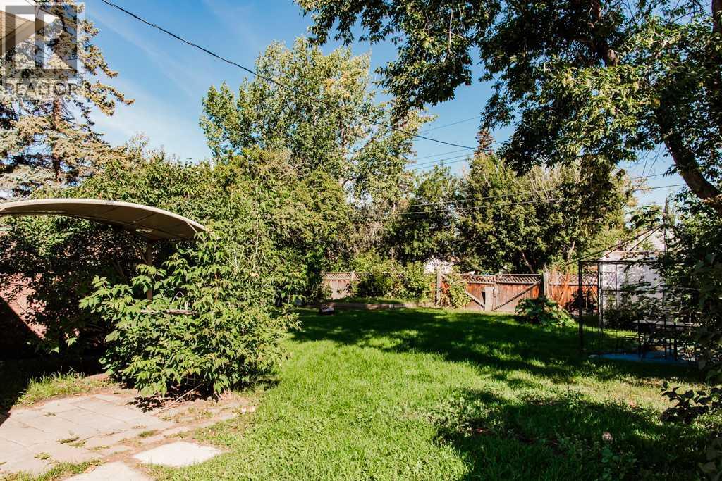picture 31