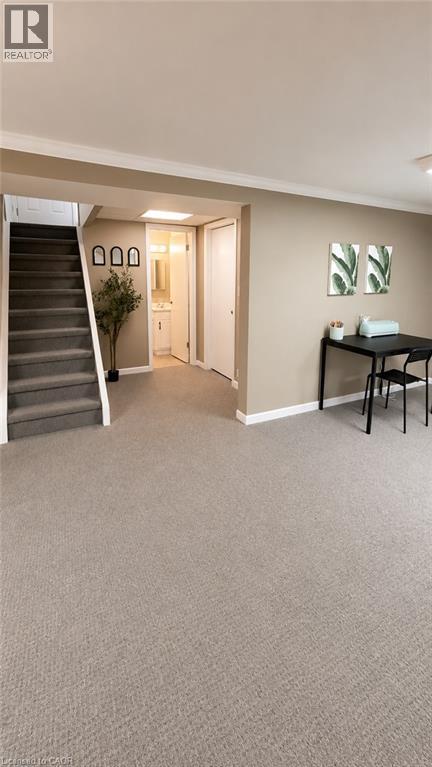 241 Thorner Drive, Hamilton, Ontario  L8V 2M6 - Photo 21 - 40855184