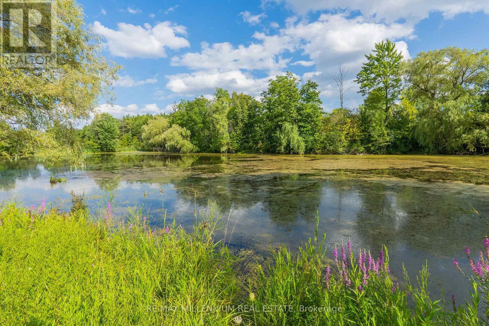 16282 27 Side Road, Halton Hills, Ontario L0P 1N0 - Photo 45 - W13692250