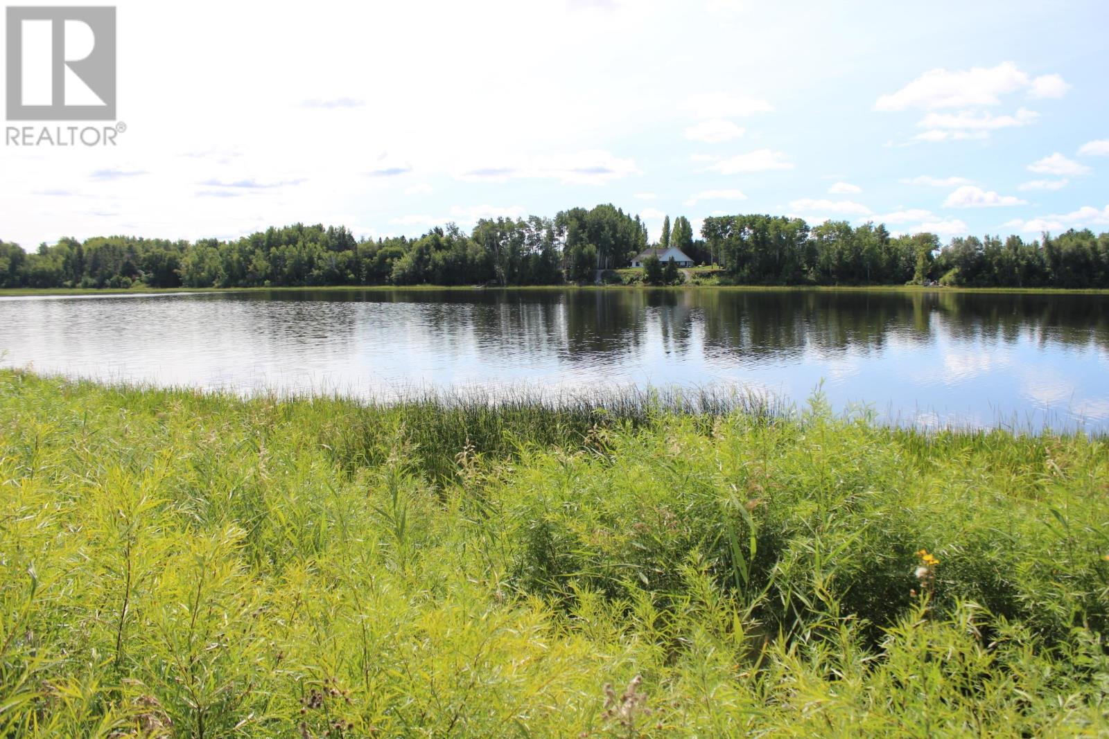 Pcl 26005 River Ave, Rainy River, Ontario  P0W 1L0 - Photo 8 - TB2602496