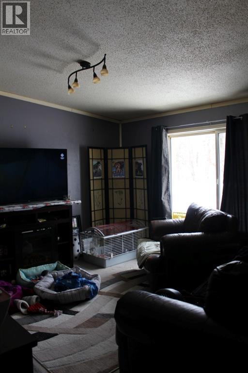 131 Pine Lane, Conklin, Alberta  T0P 1H1 - Photo 6 - A2288907