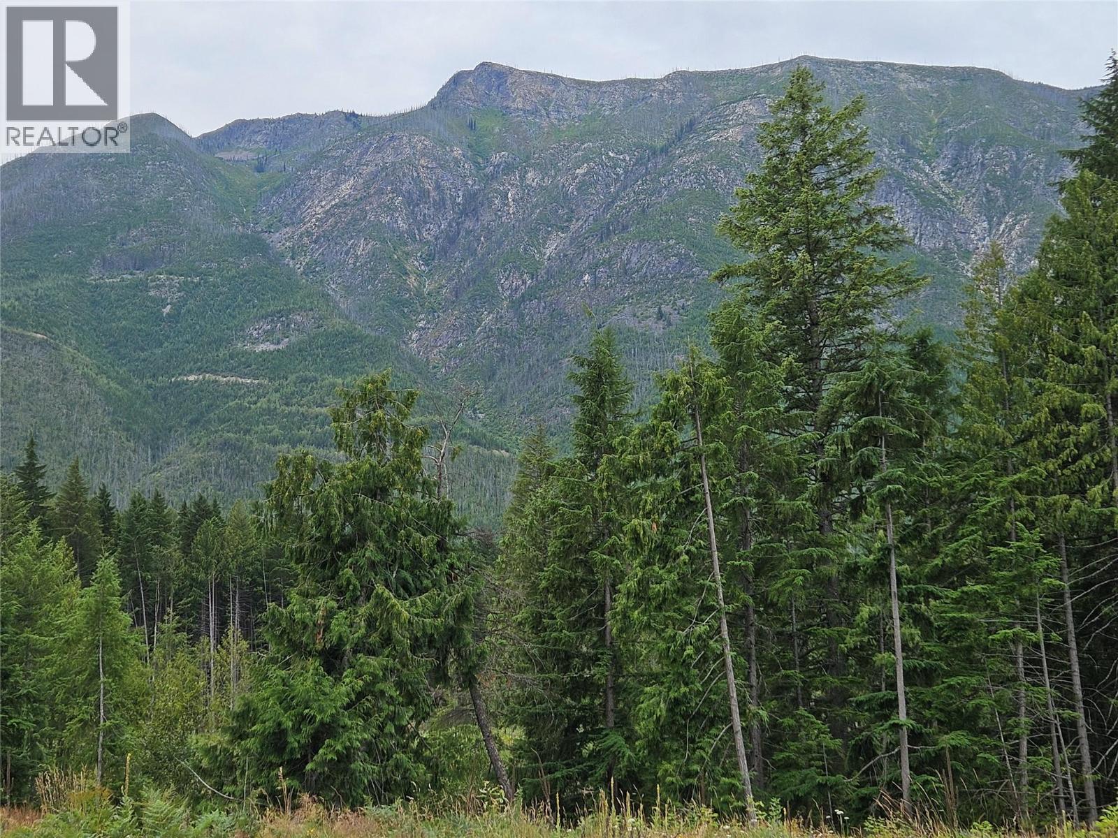 Arrow Park Bellevue Road Lot# Lot A, Arrow Park, British Columbia V0G 1R1 - Photo 10 - 10358454