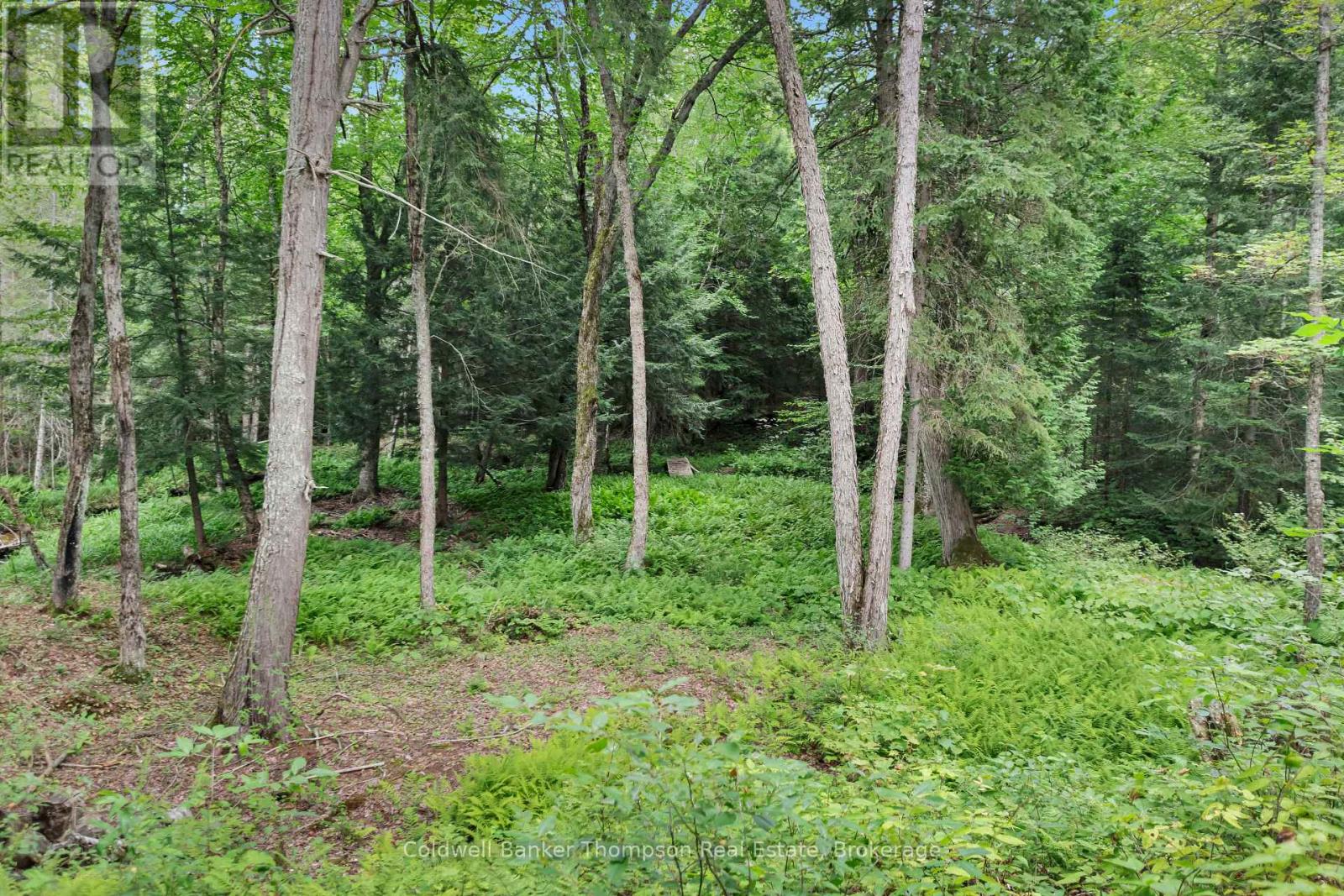 2622 Chetwynd Road, Armour, Ontario  P0A 1M0 - Photo 13 - X13708552