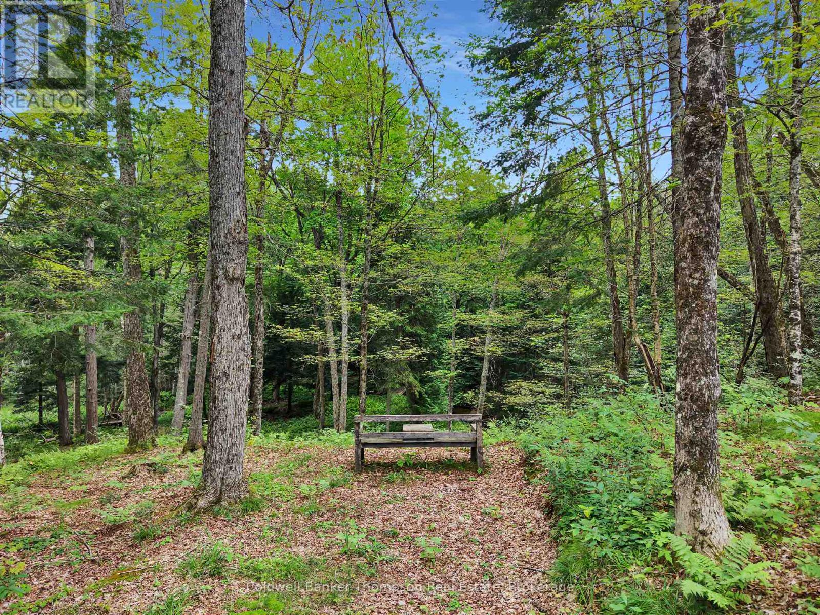 2622 Chetwynd Road, Armour, Ontario  P0A 1M0 - Photo 14 - X13708552