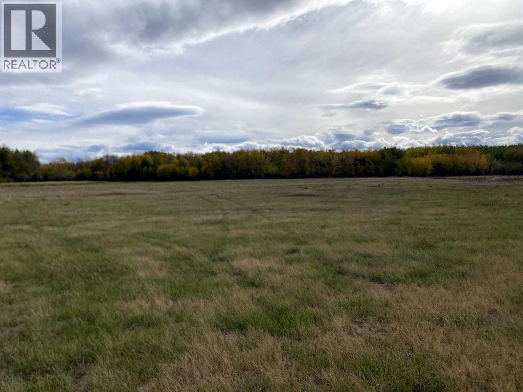 Twp Rd 704, Rural Grande Prairie No. 1, Alberta  T0H 3S0 - Photo 6 - A2314955