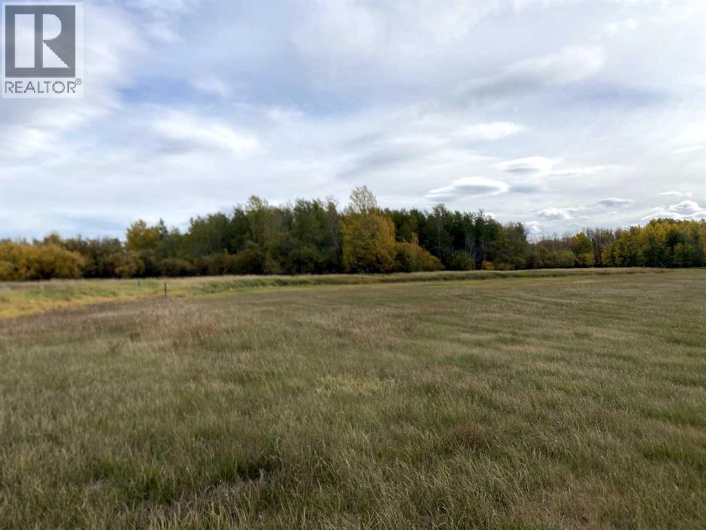 Twp Rd 704, Rural Grande Prairie No. 1, Alberta  T0H 3S0 - Photo 10 - A2314955