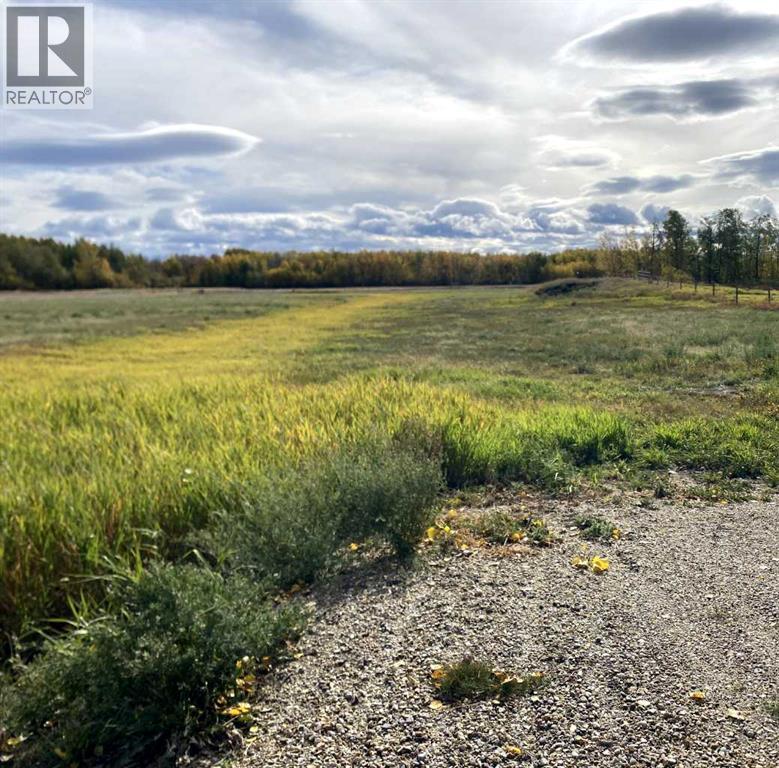 Twp Rd 704, Rural Grande Prairie No. 1, Alberta  T0H 3S0 - Photo 5 - A2314955