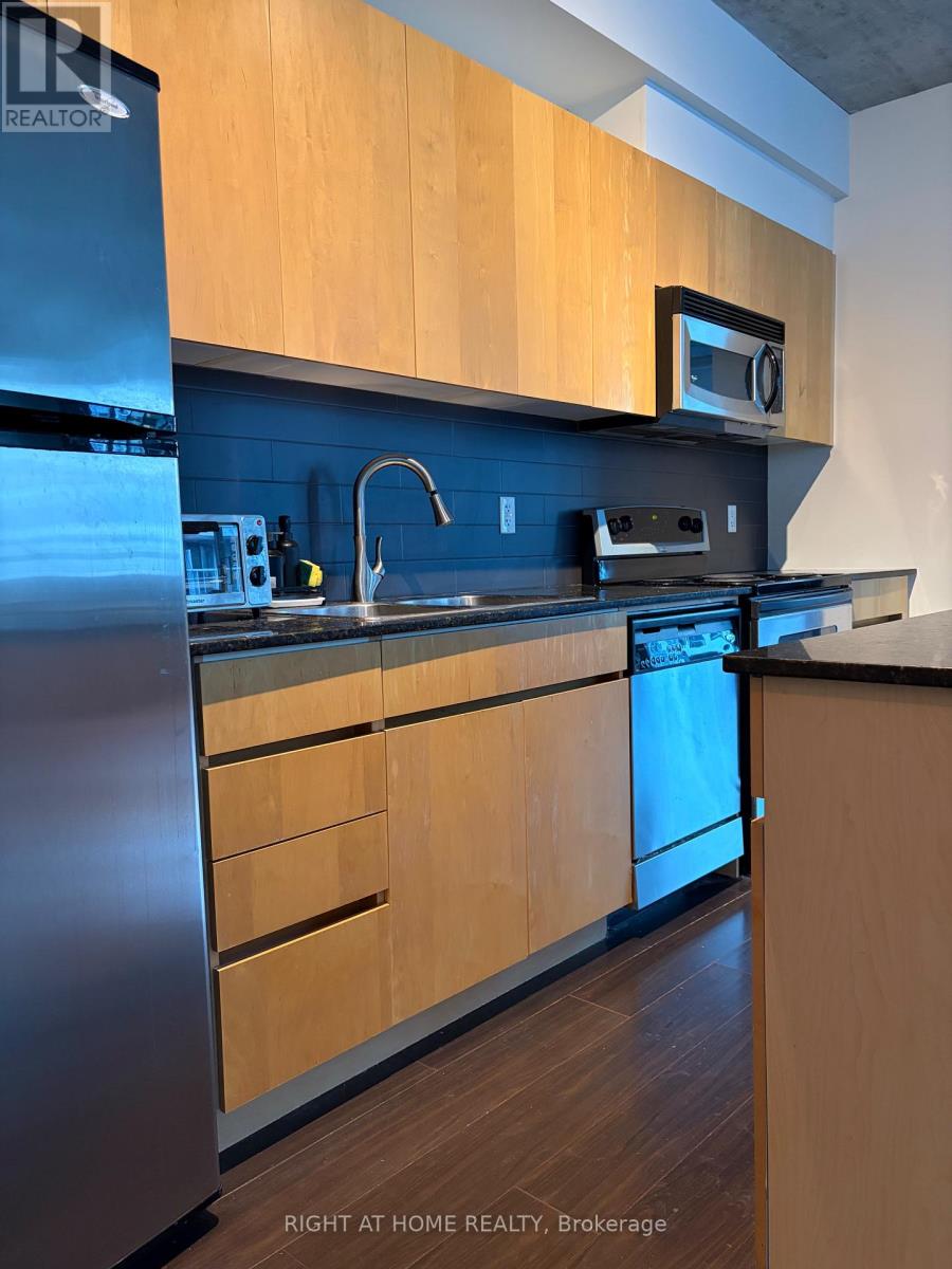 304 - 38 Niagara Street, Toronto, Ontario  M5V 3X1 - Photo 8 - C13638212