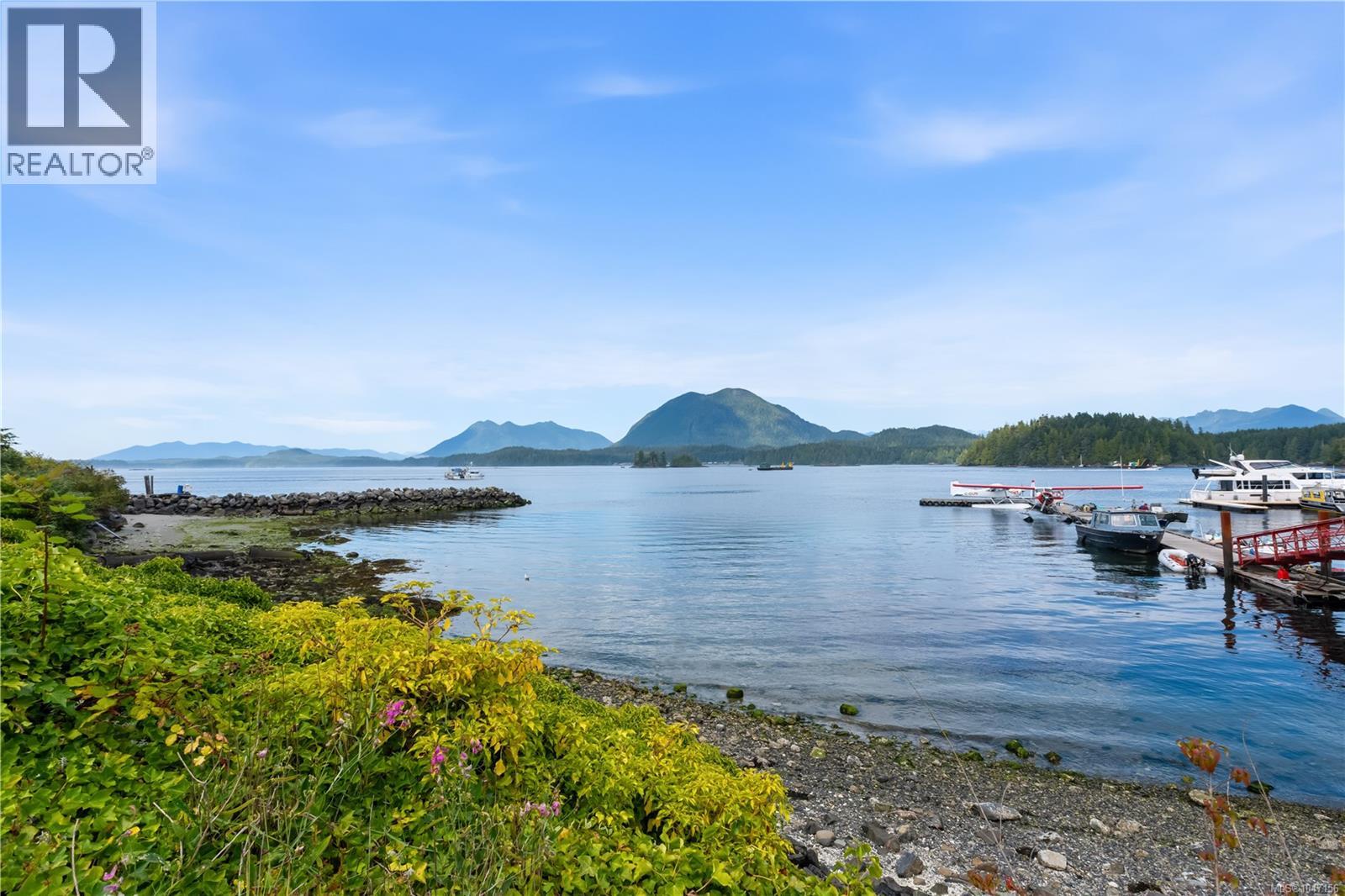 356-360 Main St, Tofino, British Columbia V0R 2Z0 - Photo 2 - 1047156
