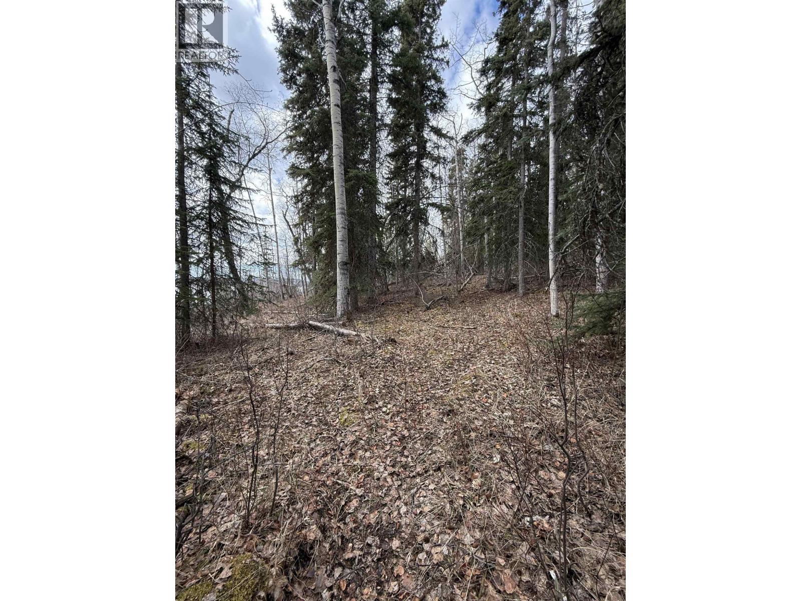 14035 Colleymount Road, Burns Lake, British Columbia  V0J 1E2 - Photo 6 - R3119848