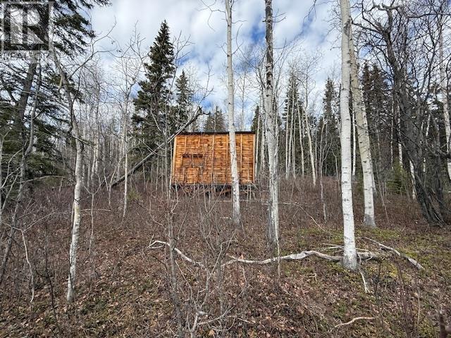 14035 Colleymount Road, Burns Lake, British Columbia  V0J 1E2 - Photo 2 - R3119848