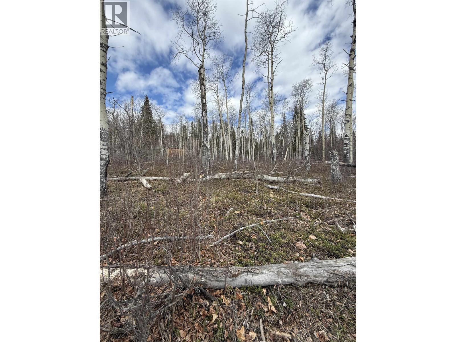 14035 Colleymount Road, Burns Lake, British Columbia  V0J 1E2 - Photo 3 - R3119848