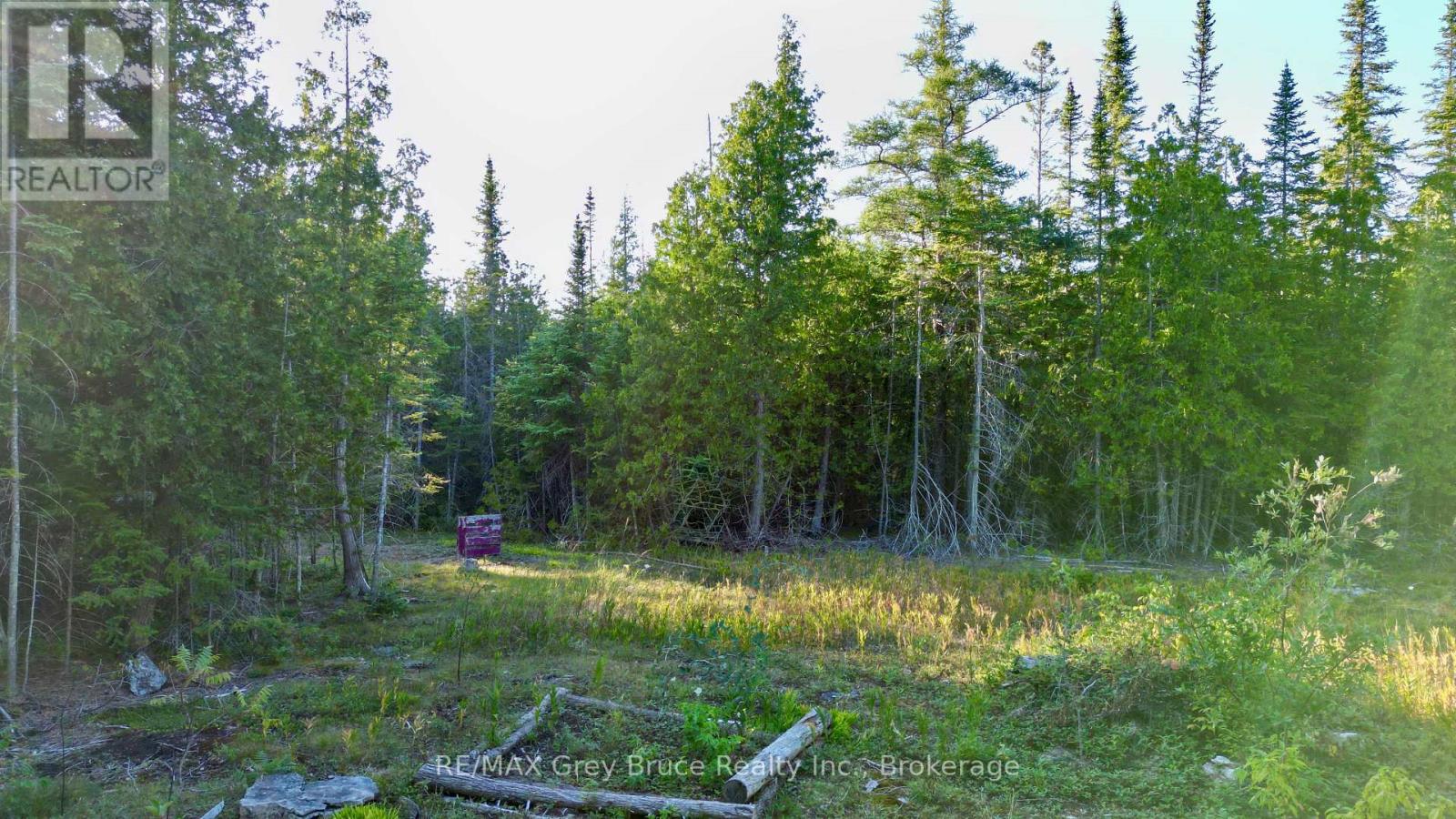 8 Devils Glen, Northern Bruce Peninsula, Ontario  N0H 1X0 - Photo 10 - X13708772