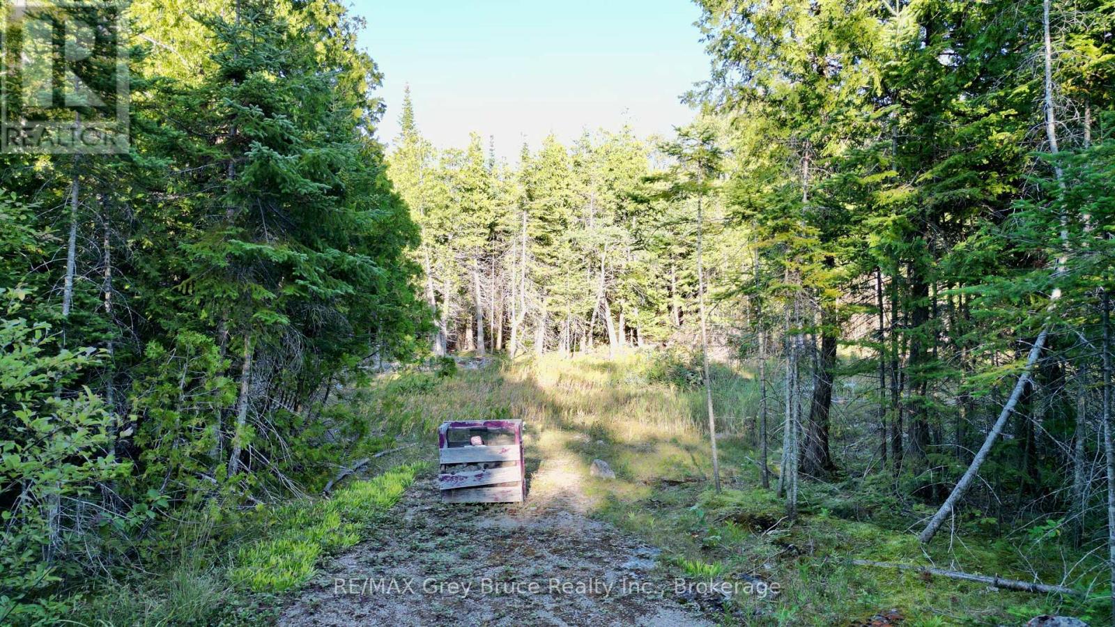 8 Devils Glen, Northern Bruce Peninsula, Ontario  N0H 1X0 - Photo 4 - X13708772