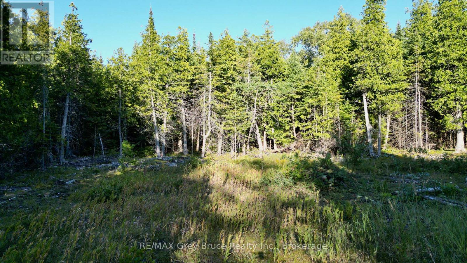 8 Devils Glen, Northern Bruce Peninsula, Ontario  N0H 1X0 - Photo 5 - X13708772