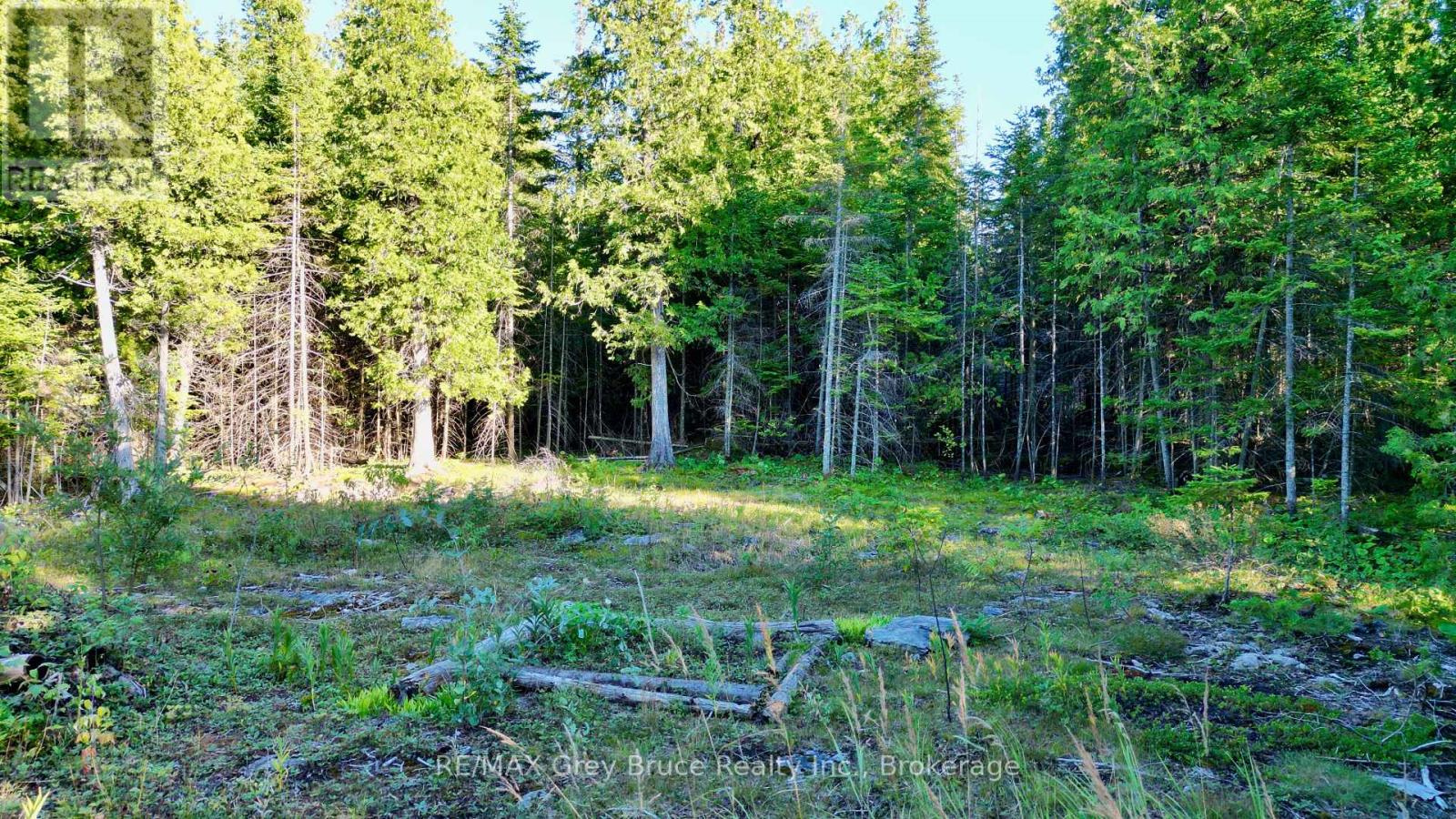 8 Devils Glen, Northern Bruce Peninsula, Ontario  N0H 1X0 - Photo 6 - X13708772