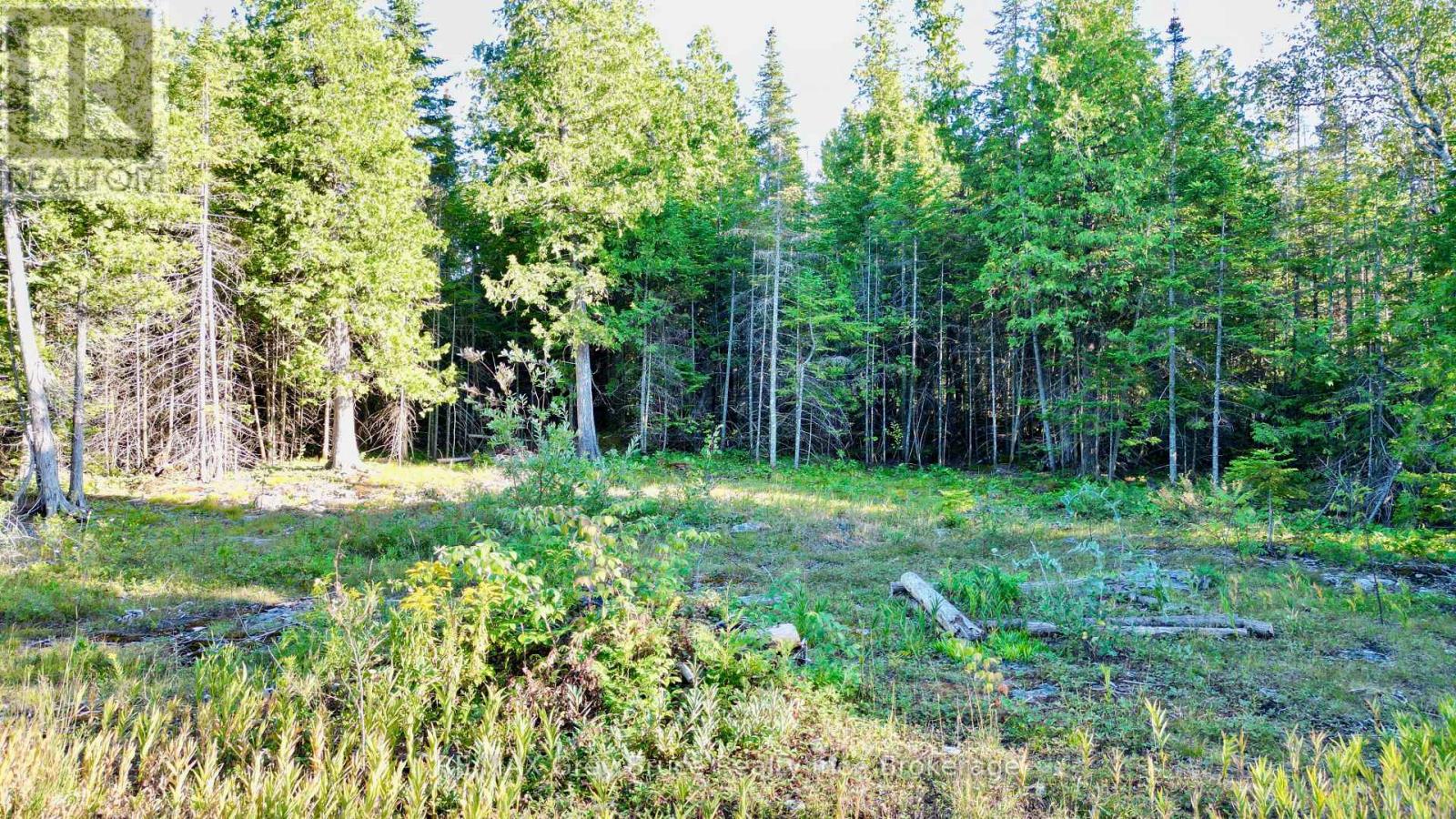 8 Devils Glen, Northern Bruce Peninsula, Ontario  N0H 1X0 - Photo 7 - X13708772