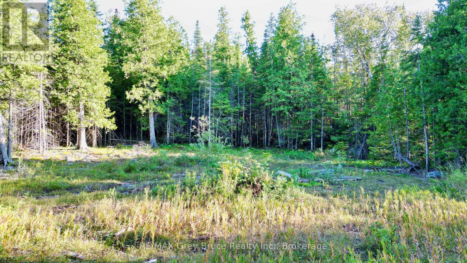 8 Devils Glen, Northern Bruce Peninsula, Ontario  N0H 1X0 - Photo 8 - X13708772