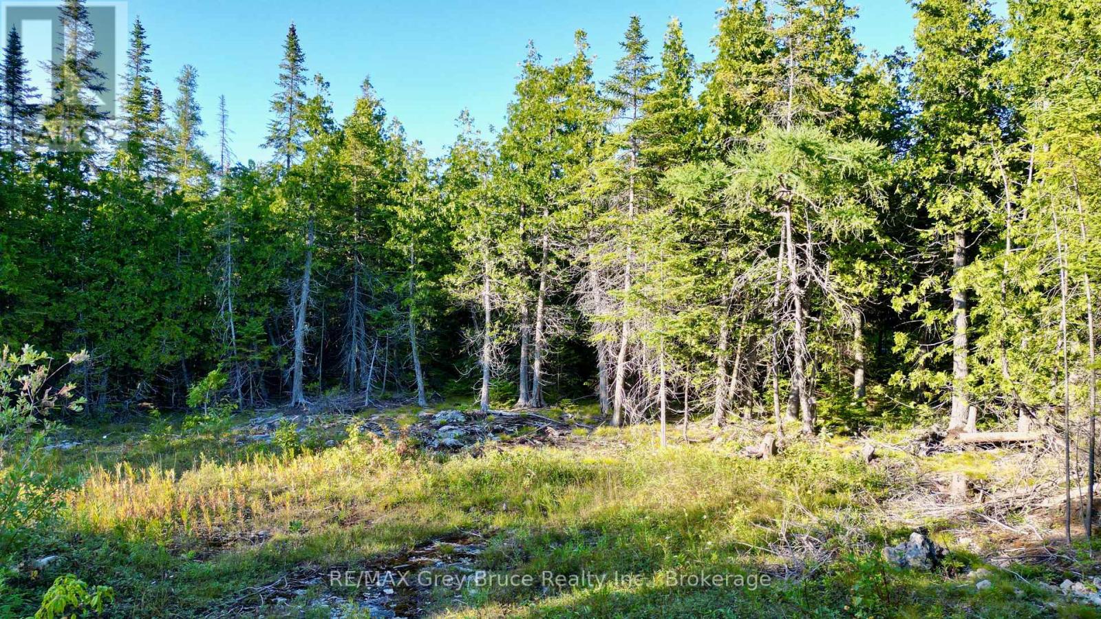 8 Devils Glen, Northern Bruce Peninsula, Ontario  N0H 1X0 - Photo 9 - X13708772