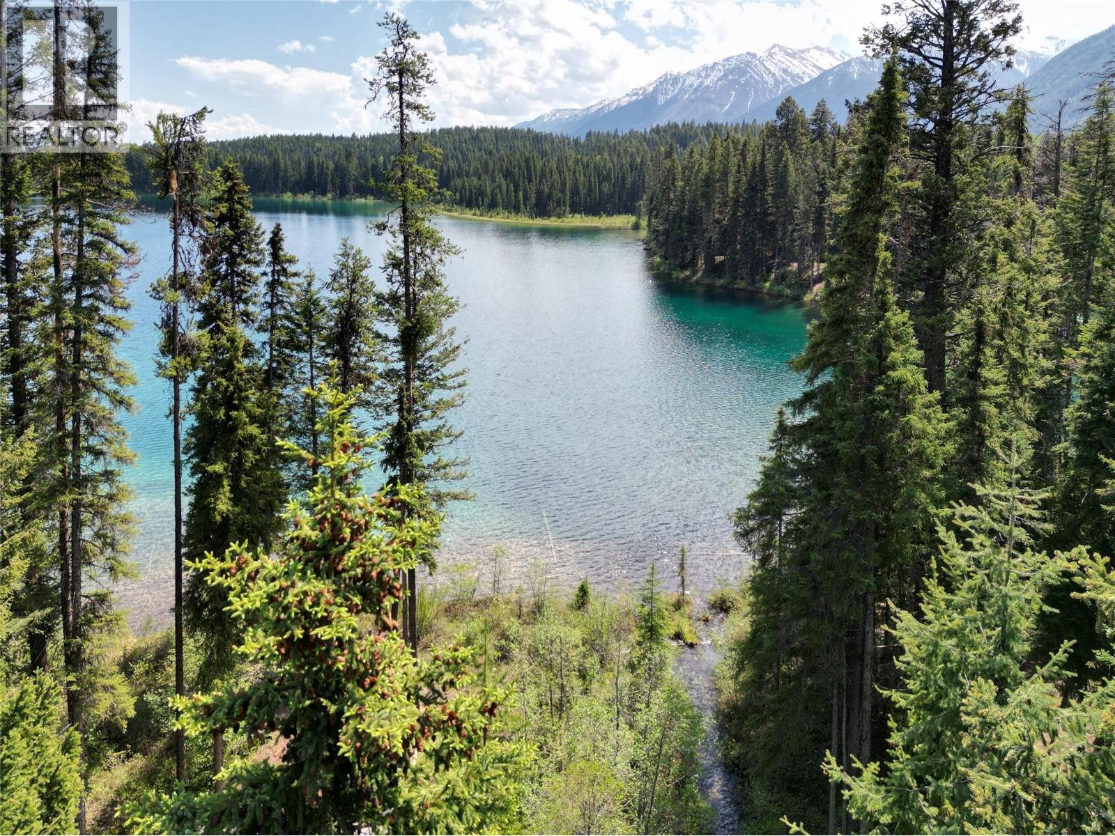 3112 Bugaboo Cartwright, Spillimacheen, British Columbia  V0A 1P0 - Photo 17 - 10397926
