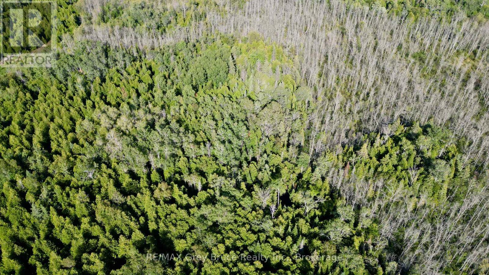 649 The Bury Road, Northern Bruce Peninsula, Ontario  N0H 1W0 - Photo 43 - X13708906